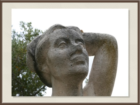 El arte de ver lo invisible: una polilla en la piedra 