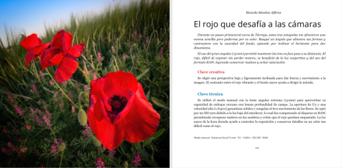 Guía completa para entender el funcionamiento de la cámara del teléfono móvil (versión en papel)